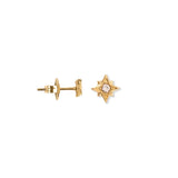 Star stud wit solo